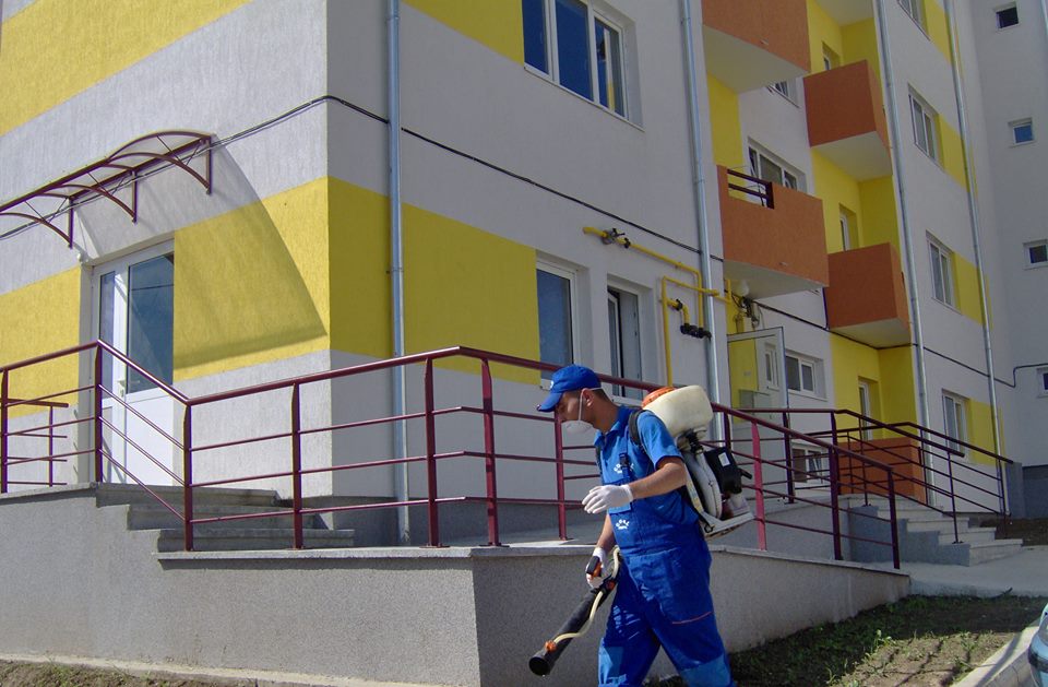 Lucrări de dezinsecție efectuate în municipiul Zalău