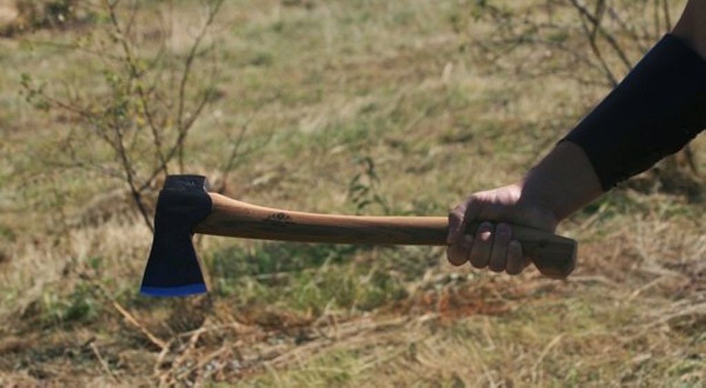 Un bărbat din Hurez, lovit în cap cu toporul de propriul fiu