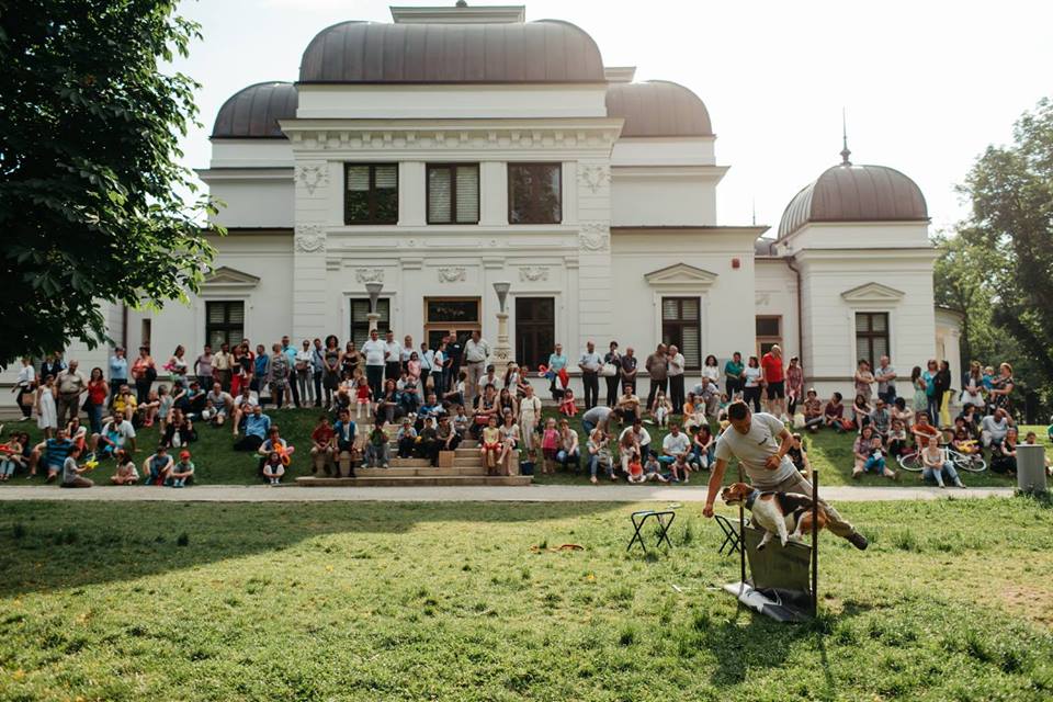 Ziua Naţională pentru Adopţie a fost marcată și în Cluj Napoca