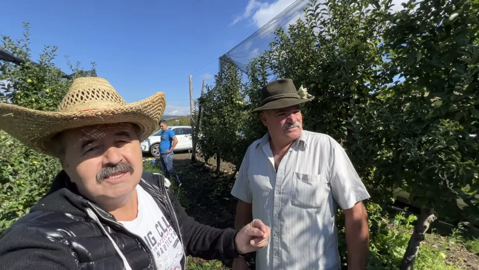 La Doștat, mănânci mere gratis în livadă și plătești doar ce duci acasă!